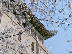 -武汉大学-樱园