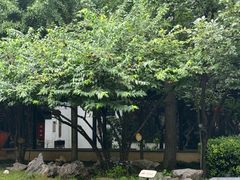 -南京民俗博物馆(甘熙故居)