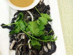 -杨记小骨头羊杂馆(南五马路店)