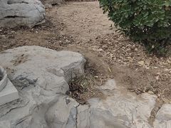 -南普公园