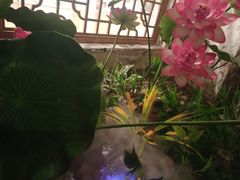 -老外婆(吾悦广场店)