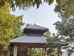 -童牛岭风景区