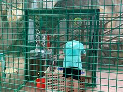 -杭州开元森泊度假乐园