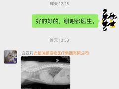 -美联众合动物医院·24h转诊中心