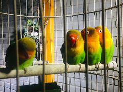 -鱼桥巷·美学川菜