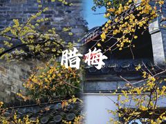 -个园