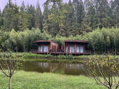 -黄海国家森林公园