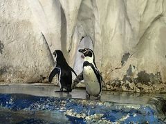 -太平洋海底世界