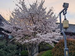 -即墨古城