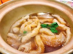-大中鱼翅 Taitong Shark Fin