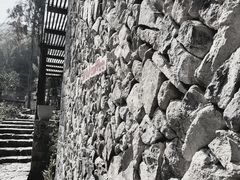 -MOJ coffee(瓯海泽雅水碓坑店)