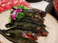 -墨居上隐·院子里火锅(峨眉店)