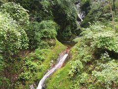 -牛背梁国家森林公园