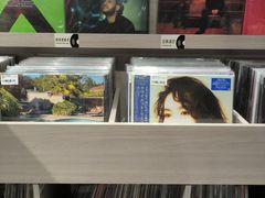 -浣熊唱片店(上海影城店)