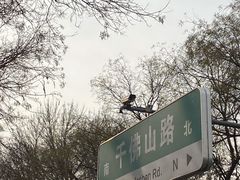 -千佛山风景名胜区