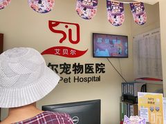 -艾贝尔宠物医院 ·内科全科(梁溪路店)