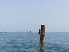 -青岛第二海水浴场