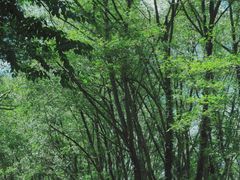 -西溪南古村落景区