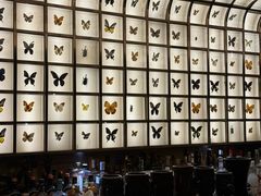 -145号U&Lounge Bar