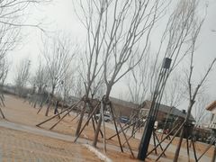 -李哥海鲜烧烤家常菜(孔雀城店)