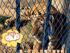 -无锡动物园·太湖欢乐园