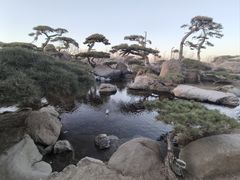 -罗红摄影艺术馆