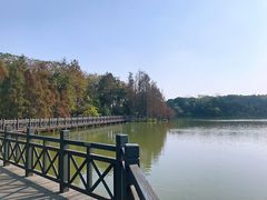 -海珠湖公园