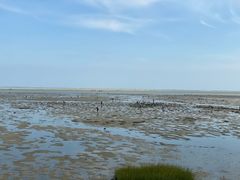 -北海金海湾红树林生态旅游区