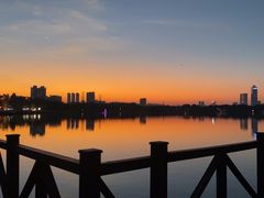 -海珠湖公园