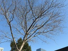 -广州都市观光巴士(粤陶巴)