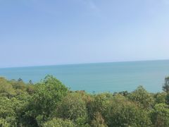 -广东惠东海龟国家级自然保护区