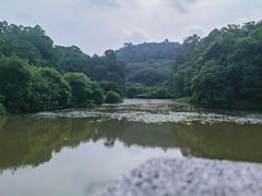 -南国桃园旅游度假区