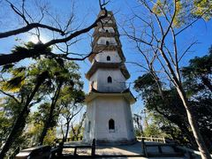 -江心屿景区