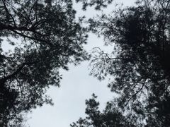 -Club Med地中海俱乐部·桂林度假村