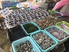 -南沙十九涌渔人码头-南门