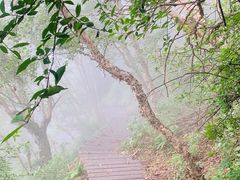 -白草畔自然风景区