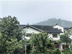 -紫藤园·天目湖大鱼头(南山竹海店)