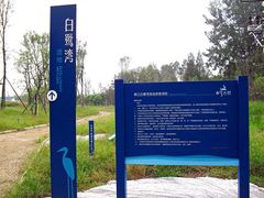 -白鹭湾湿地公园