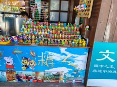-大连老虎滩海洋公园