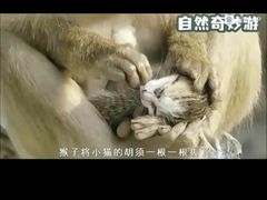 -昆明动物园