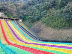 -梦幻奥陶纪景区
