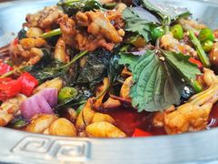 -海岛八号龙虾烧烤田鸡(蓝天路总店)