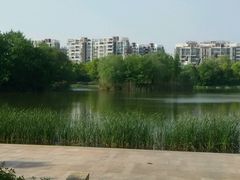 -新江湾城公园