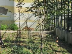 -天津市动物园