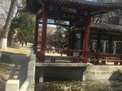 -桃花堤公园