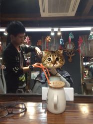 -米莱 Hair Salon 美髮