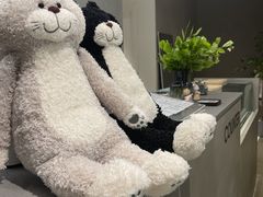 -Cappucimeow猫咪咖啡馆(韦伯时代店)