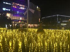-一叶一世界•素食餐厅(环球中心店)