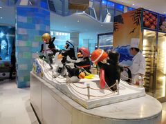 -帝企鹅自助餐厅•儿童岛•真企鹅(长隆企鹅酒店)