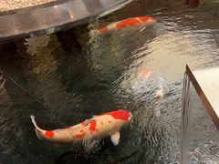 -唐山河头老街国丰维景度假大酒店